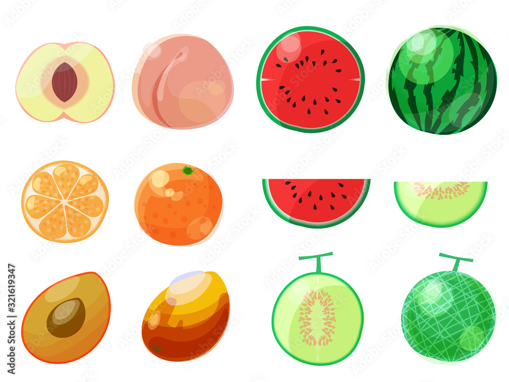 Fruit illustration set
