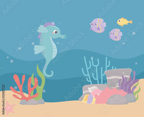 seahorse fishes sand stones bubbles life coral reef cartoon under the sea