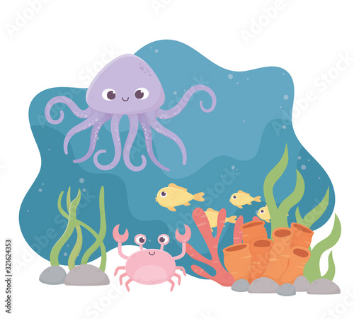 octopus crab fishes life coral reef cartoon under the sea