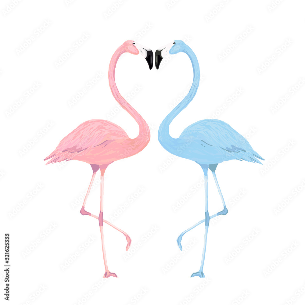 Couple watercolor flamingos on white background. Vector illustration