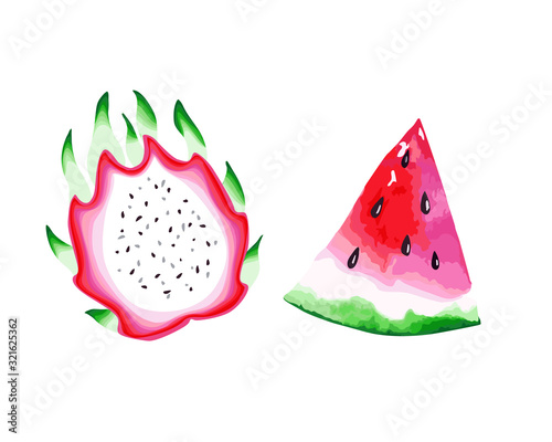 Summer background with watermelon and dragon. Health sweetness. vector illustration. Isolated image