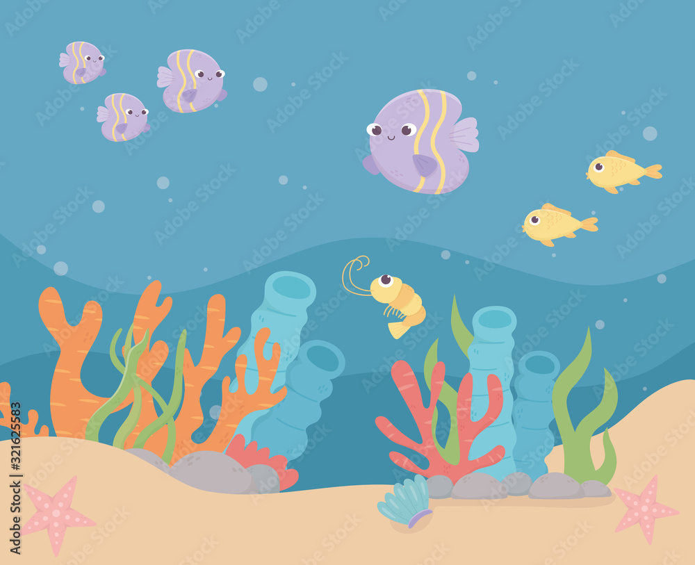 fishes shrimp starfishes life coral reef cartoon under the sea