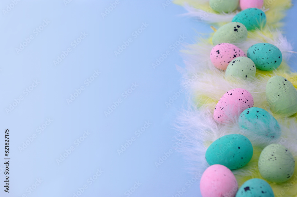 Easter quail eggs, pink, green,blue colors, yellow feathers. Copy space. Happy easter, greeting card, invitation, promotion.