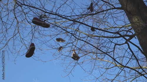 Shoes hung on a tree.