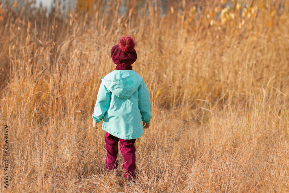 four years old girl in red knitted sweater, trousers and beret, in blue jacket walks with her back in yellow grass four years old girl in red knitted sweater, trousers and beret, in blue jacket walks with her back in yellow grass
