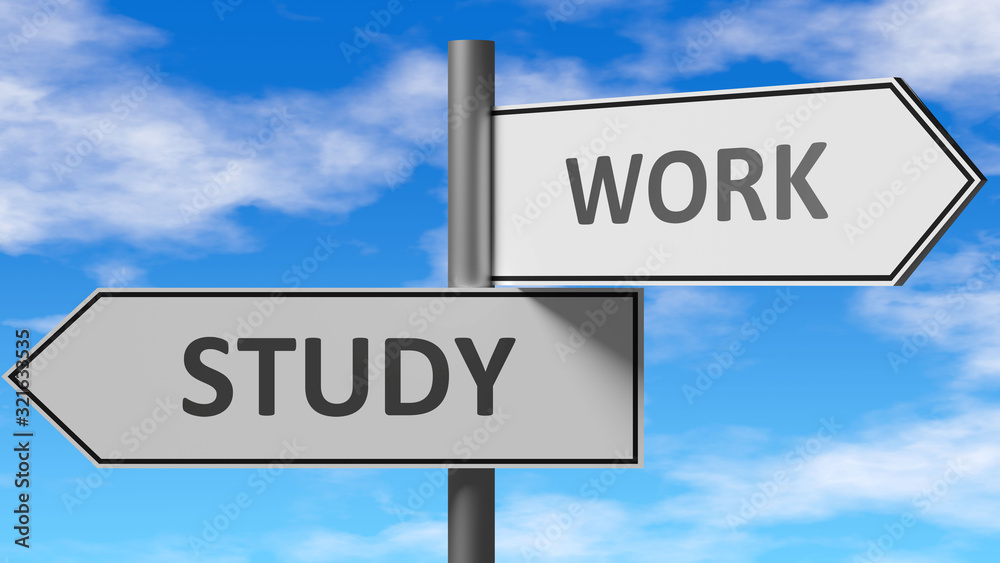 Study and work as a choice - pictured as words Study, work on road signs to show that when a person makes decision he can choose either Study or work as an option, 3d illustration Study and work as a choice - pictured as words Study, work on road signs to show that when a person makes decision he can choose either Study or work as an option, 3d illustration