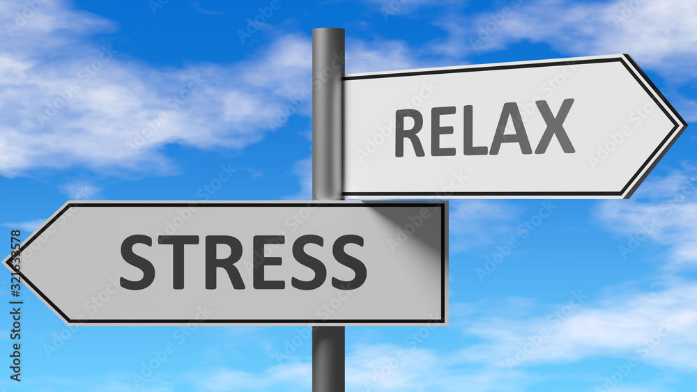 Fototapeta premium Stress and relax as a choice - pictured as words Stress, relax on road signs to show that when a person makes decision he can choose either Stress or relax as an option, 3d illustration