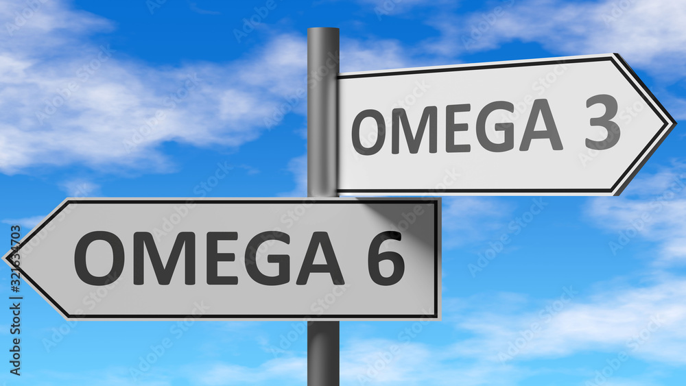 Omega 6 and omega 3 as a choice - pictured as words Omega 6, omega 3 on road signs to show that when a person makes decision he can choose either Omega 6 or omega 3 as an option, 3d illustration - obrazy, fototapety, plakaty 