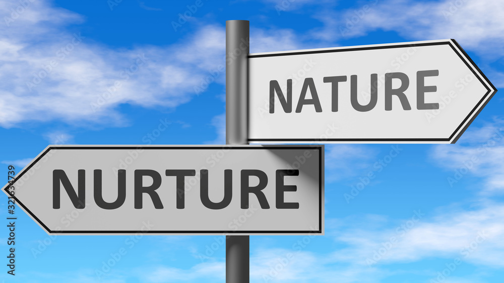 Nurture and nature as a choice - pictured as words Nurture, nature on road signs to show that when a person makes decision he can choose either Nurture or nature as an option, 3d illustration Nurture and nature as a choice - pictured as words Nurture, nature on road signs to show that when a person makes decision he can choose either Nurture or nature as an option, 3d illustration