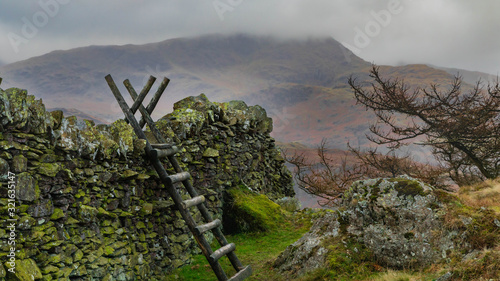 Canvastavla One from  Black Crag above Tarn Hows in the Lake District