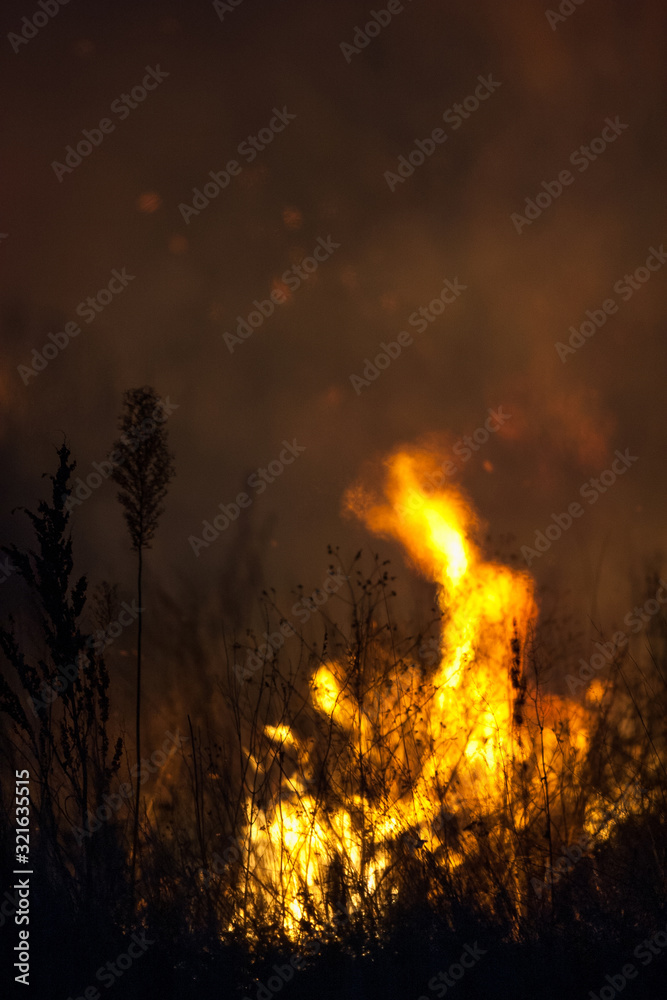 Dry grass burns at night. Pastures and meadows in the countryside. An environmental disaster involving irresponsible people. Luxurious mystical night landscapes shot on a 300mm lens.