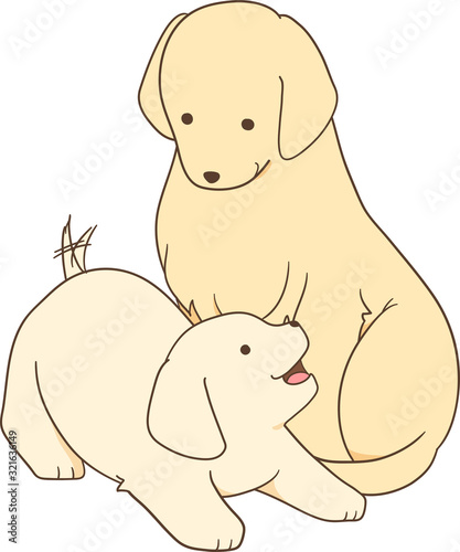 ゴールデンレトリバーの子犬（成犬・親犬と子犬）