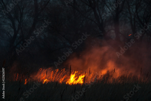 Dry grass burns at night. Pastures and meadows in the countryside. An environmental disaster involving irresponsible people. Luxurious mystical night landscapes shot on a 300mm lens. © Sodel Vladyslav