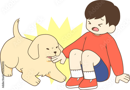ゴールデンレトリバーの子犬（人間の子供が子犬に手を噛まれる）
