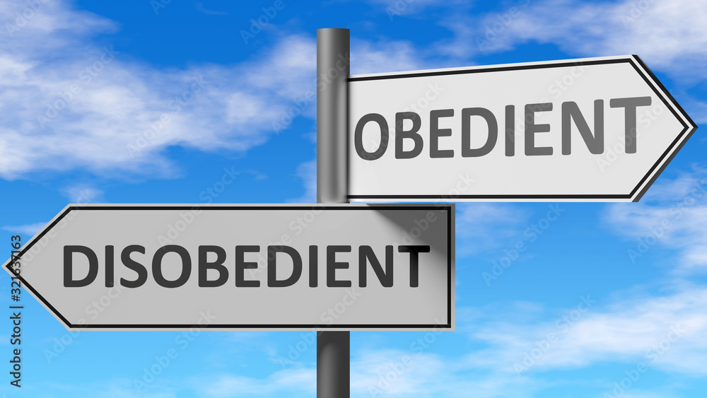 Disobedient and obedient as a choice, pictured as words Disobedient, obedient on road signs to show that when a person makes decision he can choose either option, 3d illustration Disobedient and obedient as a choice, pictured as words Disobedient, obedient on road signs to show that when a person makes decision he can choose either option, 3d illustration