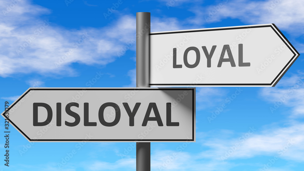 Disloyal and loyal as a choice - pictured as words Disloyal, loyal on road signs to show that when a person makes decision he can choose either Disloyal or loyal as an option, 3d illustration Disloyal and loyal as a choice - pictured as words Disloyal, loyal on road signs to show that when a person makes decision he can choose either Disloyal or loyal as an option, 3d illustration