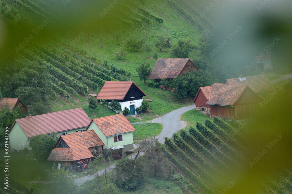 Naklejka premium landscape and details in southern Styria, Austria