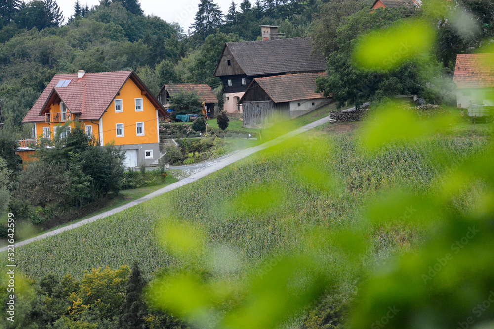 Fototapeta premium landscape and details in southern Styria, Austria