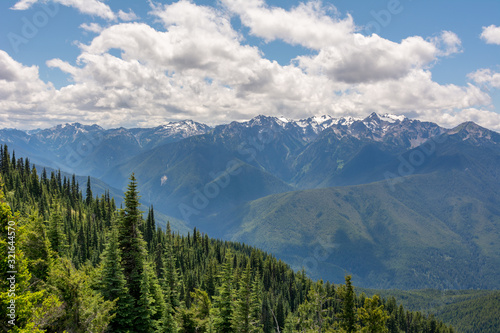 View of coniferous trees on a slope and mountains in Olympic National Park, Olympic Peninsula, Washington State US © Maks_Ershov