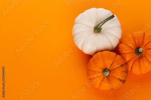 Creative Top view flat lay pumkin composition. photo