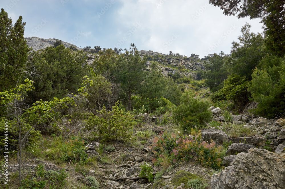 Walk along the mountains among the vegetation and debris. Mount Koba-Kaya, Republic of Crimea.