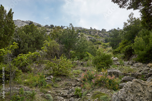 Obraz na płótnie Walk along the mountains among the vegetation and debris. Mount Koba-Kaya, Republic of Crimea. w salonie