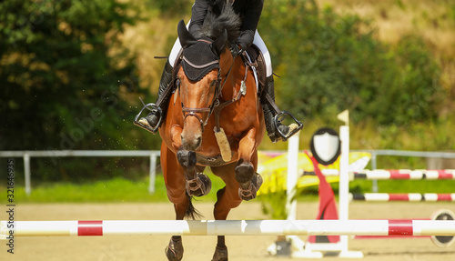 Show jumper Fox with rider in close-up during the flight phase, photographed from the front..