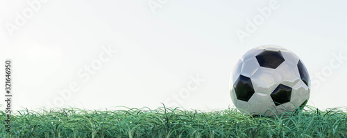 close up of a red and white soccer ball football on fresh green grass 3d render illustration with empty space for your content sky background