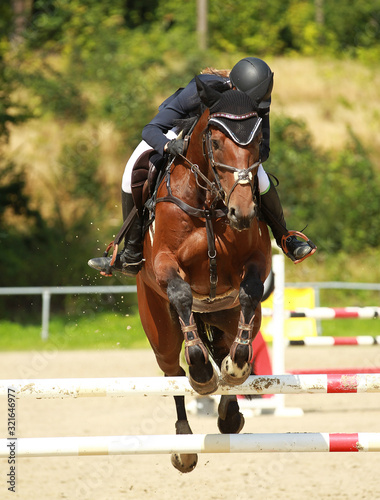 Horse brown with rider jumping over an obstacle..