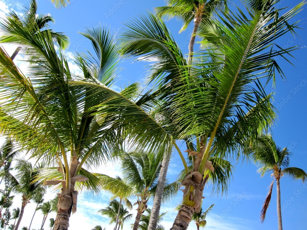 Sunny Beach, Caribbean, Dominican Republic Sunny Beach, Caribbean, Dominican Republic