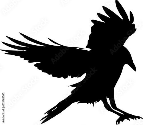 black silhouette of a raven landing