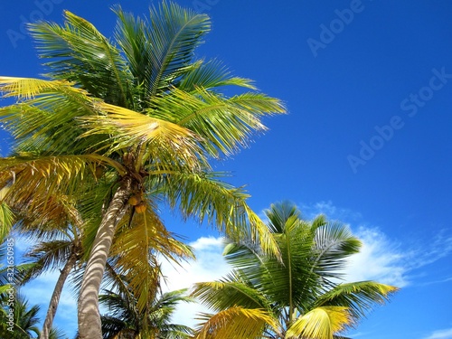 Sunny Beach, Caribbean, Dominican Republic