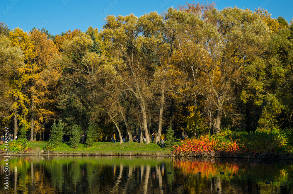 Golden autumn in a beautiful city park. Yellow trees in a mirror reflection of a blue lake. Krestovsky city park. Autumn park with green grass. SPb, Russia, October 17, 2019 Golden autumn in a beautiful city park. Yellow trees in a mirror reflection of a blue lake. Krestovsky city park. Autumn park with green grass. SPb, Russia, October 17, 2019