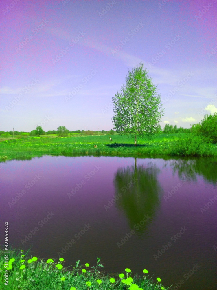 landscape with river and trees - obrazy, fototapety, plakaty 