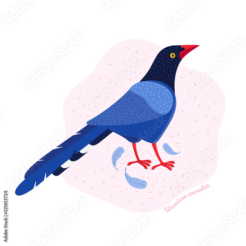 The Taiwan blue magpie. Animals of Taiwan. Urocissa caerulea. Cute blue bird in hand drawn vector. Vector flat illustration in Scandinavian style. Nature of Asia.