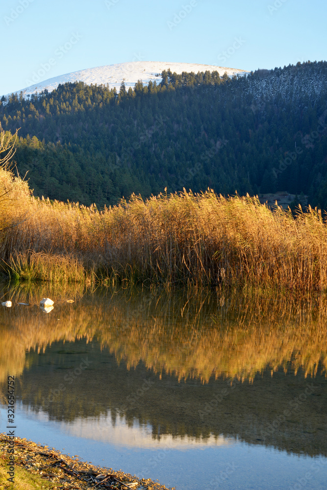 lake in autumn forest in turkey