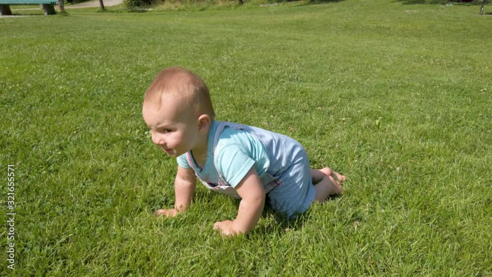 Baby boy crawling through the grass on a warm, summer day. Baby boy crawling through the grass on a warm, summer day.