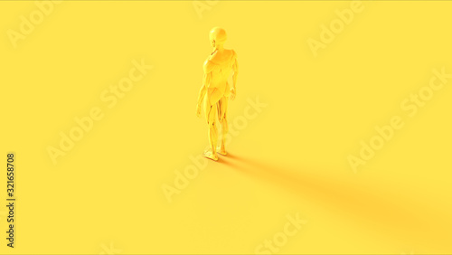 Yellow Ecorche System Anatomical Model 3 Quarter Rear Left View 3d illustration 3d render photo