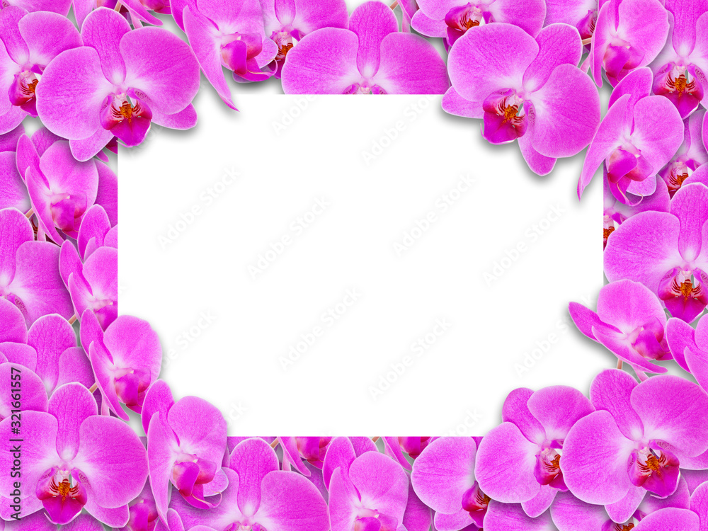 Background with blank space and flowers orchids