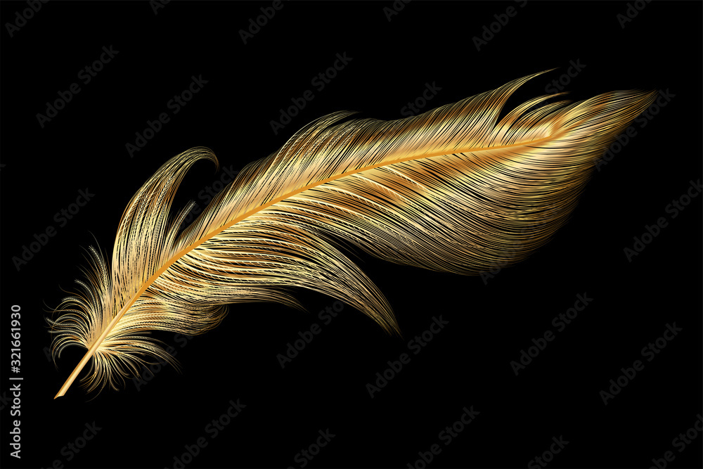 art, background, beautiful, beauty, bird, black, bright, calligraphy,  color, colored, colorful, concept, creative feathers, decoration, draw,  drawing, elegance, element, feather, fluffy, fly, gold, go vector de Stock  | Adobe Stock