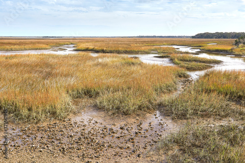 View of scenic salt marsh from Timacuan Preserve in Jacksonville, Florida photo