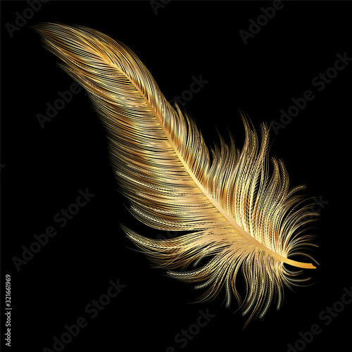 art, background, beautiful, beauty, bird, black, bright, calligraphy, color, colored, colorful, concept, creative feathers, decoration, draw, drawing, elegance, element, feather, fluffy, fly, gold, go