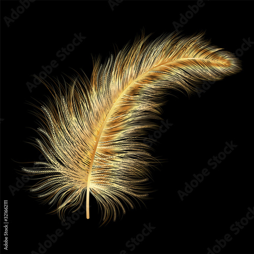 art, background, beautiful, beauty, bird, black, bright, calligraphy, color, colored, colorful, concept, creative feathers, decoration, draw, drawing, elegance, element, feather, fluffy, fly, gold, go