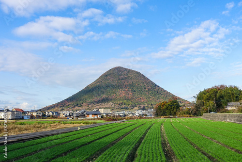 讃岐富士こと飯野山