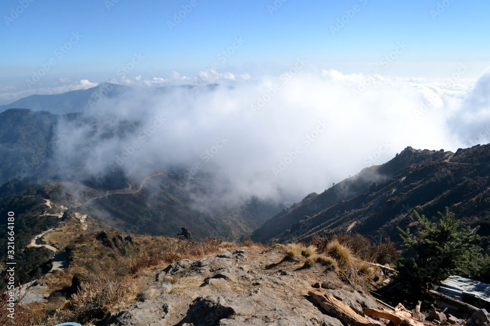 Cloud Sea Cloud Sea