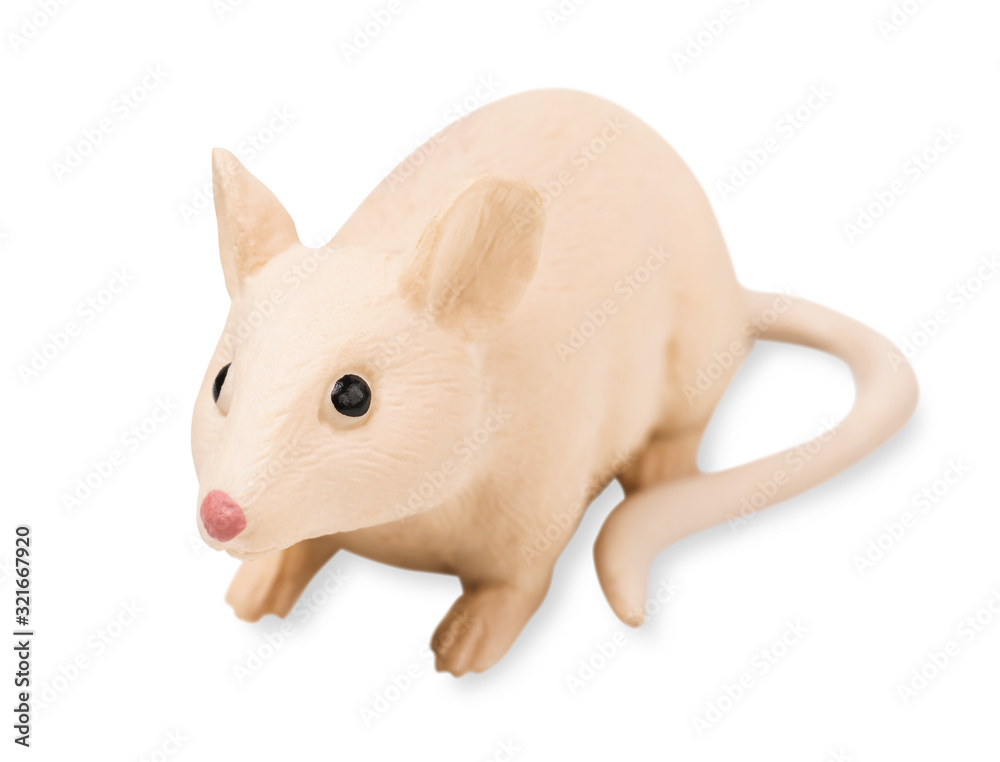 Fototapeta premium Toy rat isolated on white background, close-up