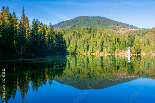 mountain lake among the coniferous forest. morning nature scenery with reflections in calm water. sunny weather with blue cloudless sky in springtime. location Synevyr national park, ukraine
