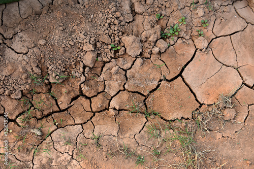 Drought on the surface of tobacco field, Nan, Thailand.