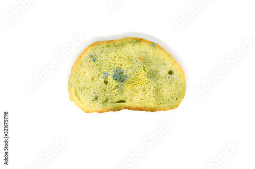 one slice white bread covered with mold, isolated on a white background