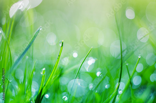 Little drops of dew on the grass and a beautiful bokeh on a background
